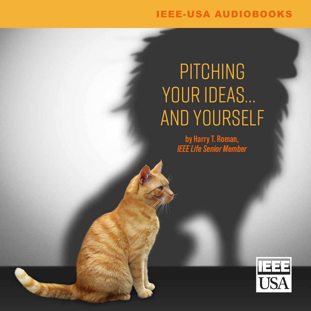 Audiobook: Pitching Your Ideas and Yourself