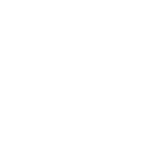IEEE-USA Logo